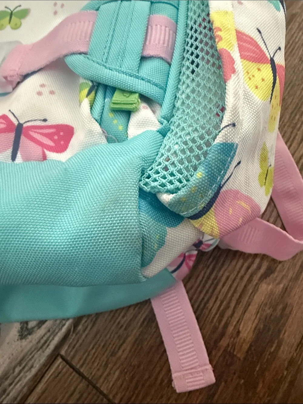 Pottery Barn Kids Large Butterfly Backpack & Lunchbox Set